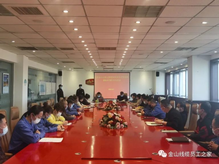 黨建引領(lǐng)促發(fā)展，凝心聚力譜新篇–金山線纜黨支部召開2021年度組織生活會(huì)